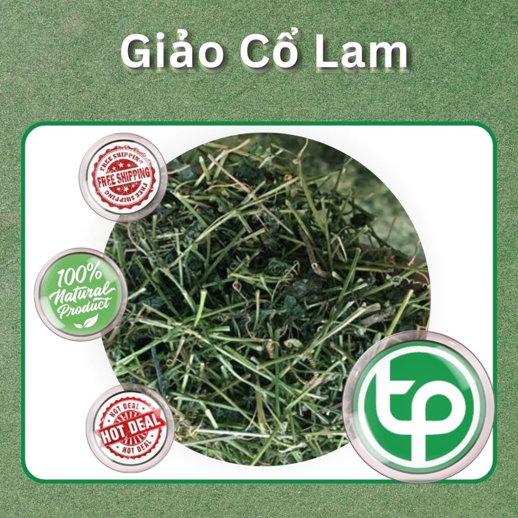 Lợi ích của giảo cổ lam tại TP.HCM