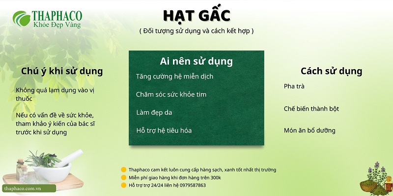 Những điều cần biết khi dùng hạt gấc tại HCM