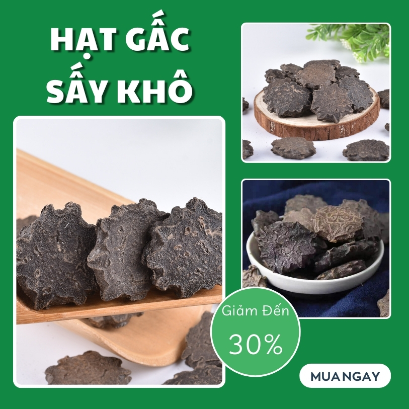 Hạt gấc tại HCM THAPHACO (Tấn Phát Group)