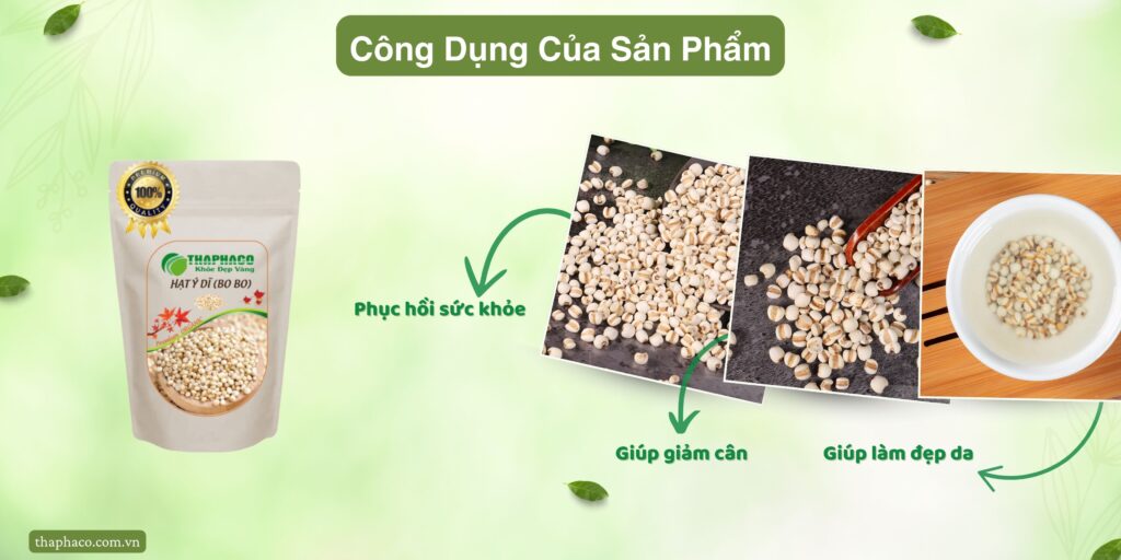 Những công dụng của hạt ý dĩ tại TP.HCM