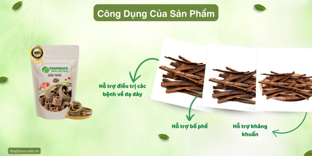 Công dụng của hậu phác tại TP.HCM