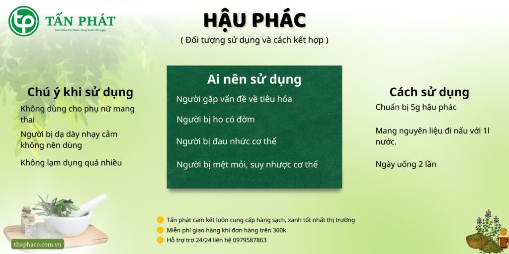 Cách sử dụng hậu phác tại TP.HCM