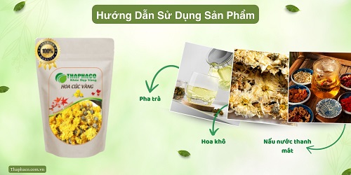 Hoa cúc vàng tại HCM uy tín