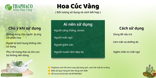 Lưu ý khi dùng hoa cúc vàng khô