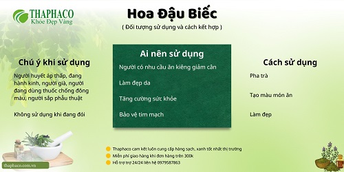 Những lưu ý khi sử dụng hoa đậu biếc tại TP.HCM