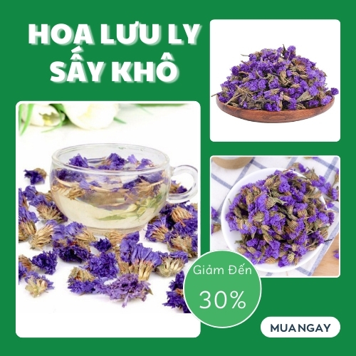 Hoa lưu ly tại HCM THAPHACO (Tấn Phát Group)