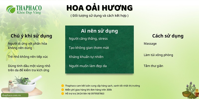 Lưu ý khi dùng hoa oải hương tại HCM