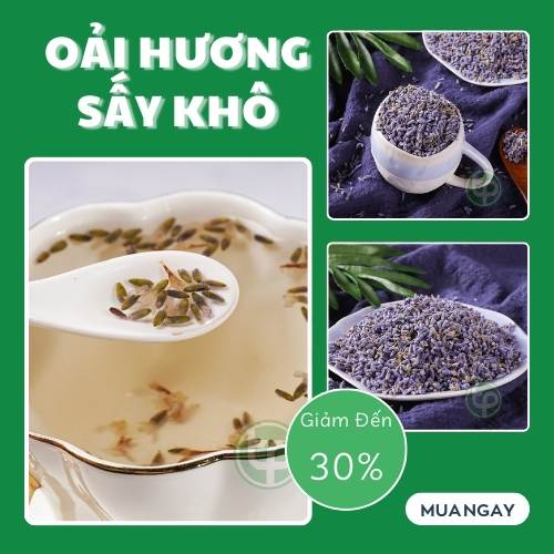 Hoa oải hương tại HCM THAPHACO (Tấn Phát Group)