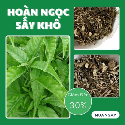 Mua hoàn ngọc tại TP.HCM ở THAPHACO ( Tấn Phát Group )