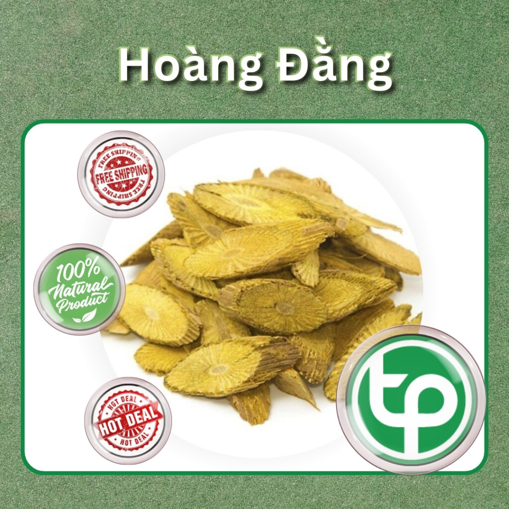 Hoàng đằng tại TP.HCM