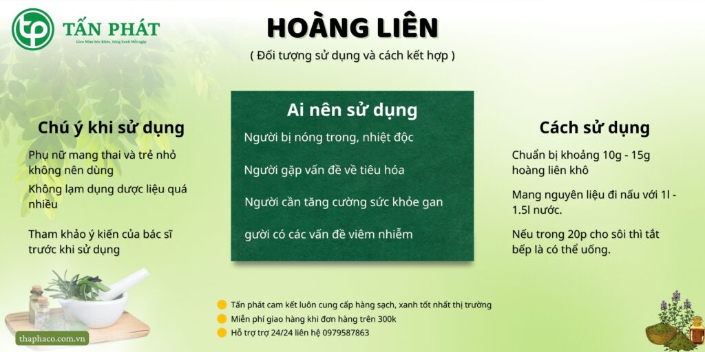 Hoàng liên tại TP.HCM