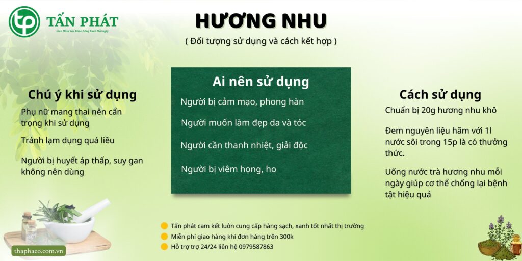 Cách sử dụng hương nhu tại TP.HCM