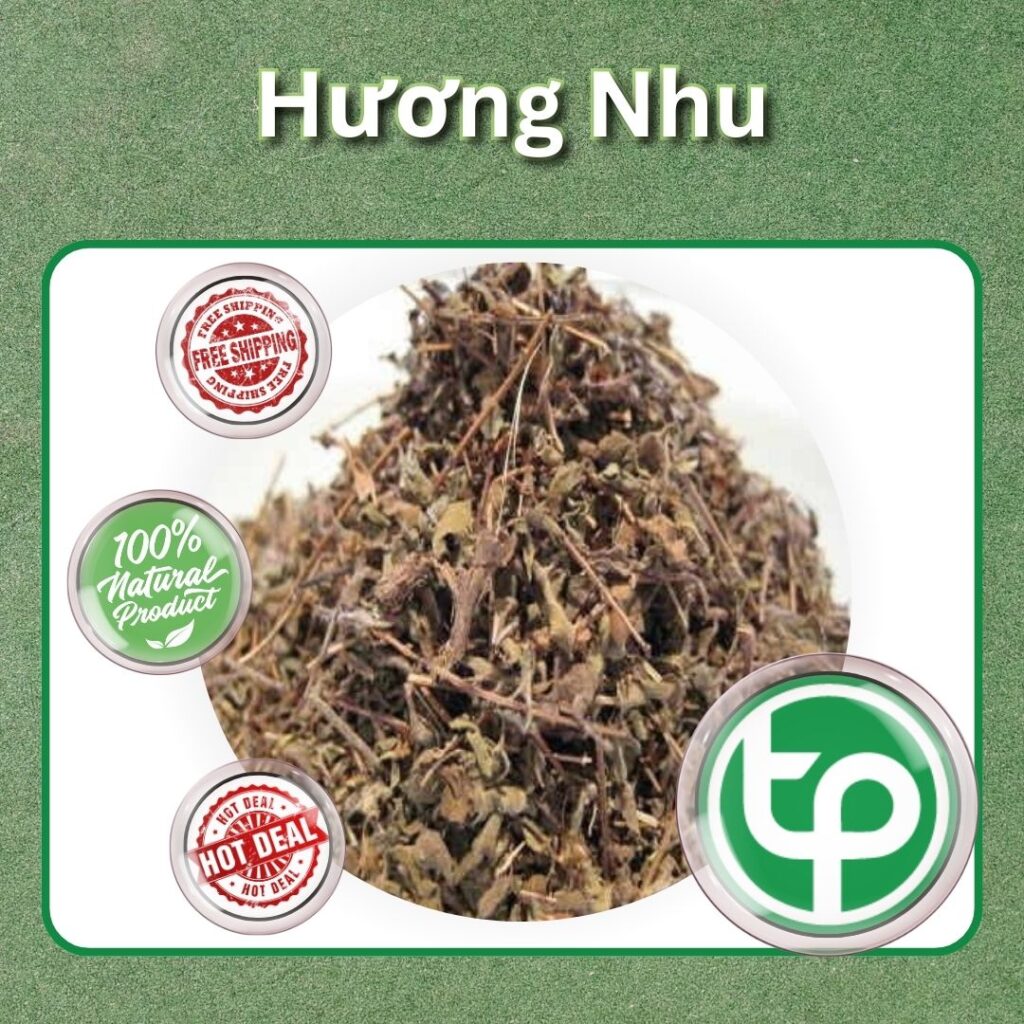 Hương nhu tại TP.HCM