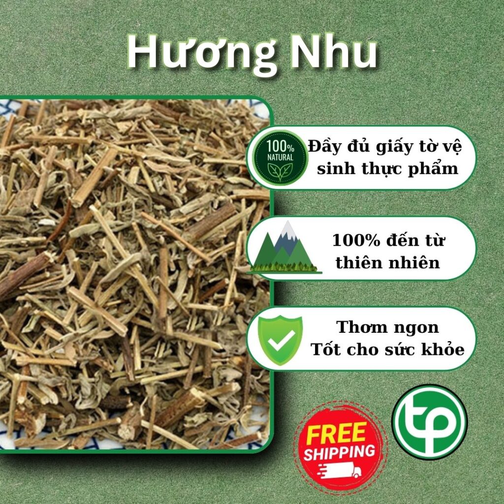 Mua hương nhu tại TP.HCM ở đâu uy tín ?