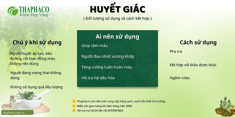 Những điều cần biết khi dùng huyết giác tại HCM