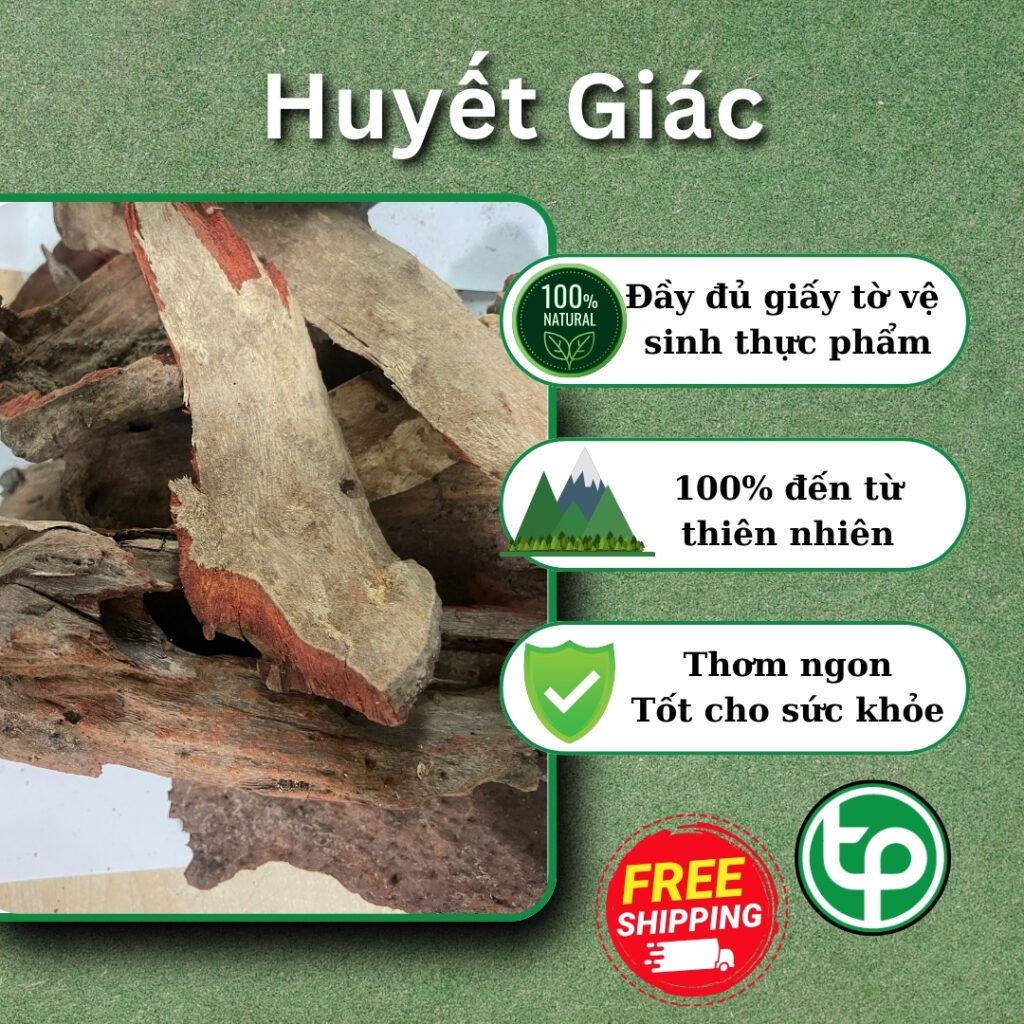 Huyết giác tại HCM THAPHACO (Tấn Phát Group)