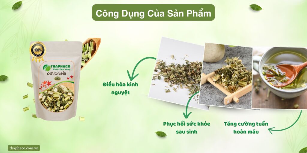 Công dụng của ích mẫu tại TP.HCM