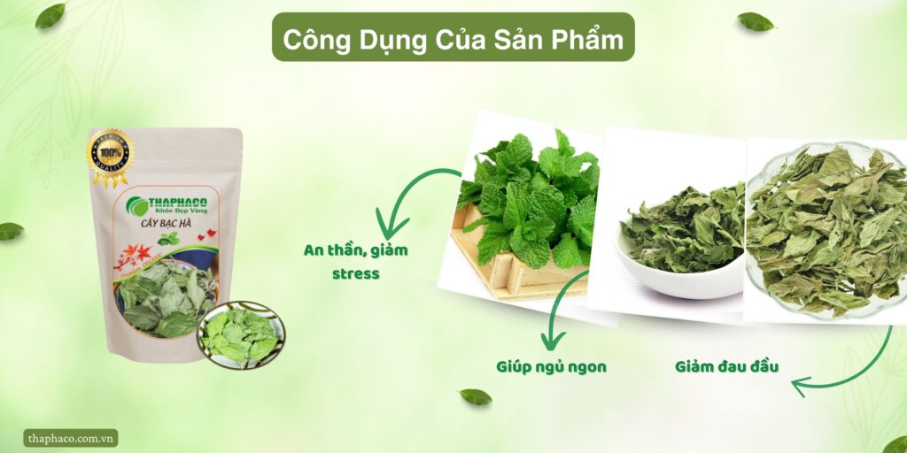 Công dụng của lá bạc hà tại TP.HCM