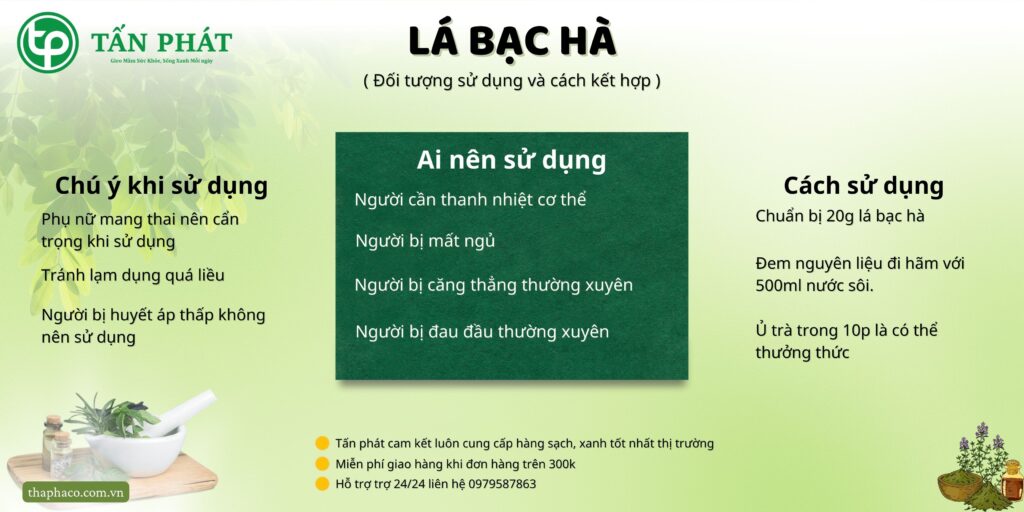 Cách sử dụng lá bạc hà tại TP.HCM