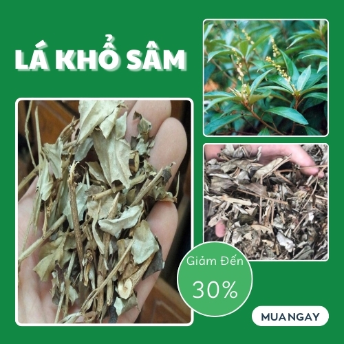 Lá khổ sâm tại TP.HCM