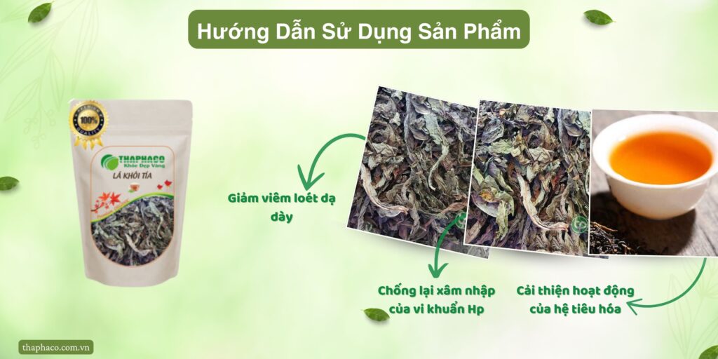 Hướng dẫn sử dụng lá khôi tía tại TP.HCM