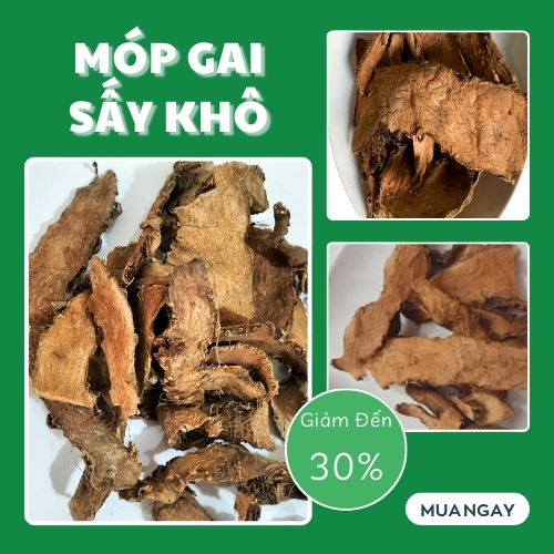 Mướp gai tại TP.HCM ở THAPHACO ( Tấn Phát Group )