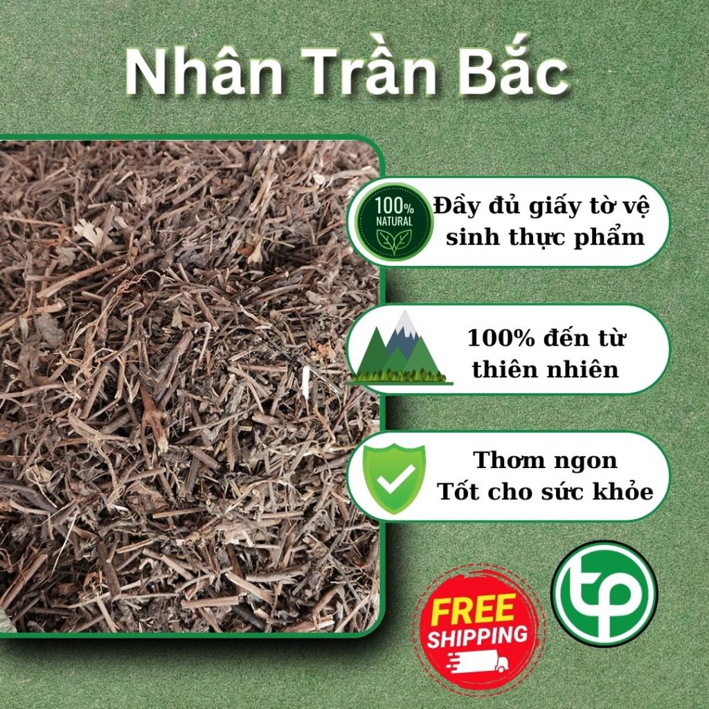 Nhân trần bắc tại HCM THAPHACO (Tấn Phát Group)