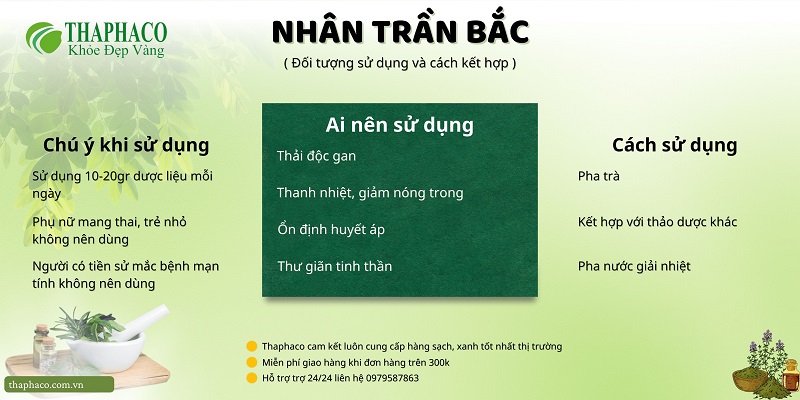 Lưu ý khi dùng nhân trần bắc tại HCM