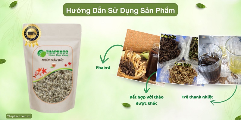 Sử dụng nhân trần bắc tại nhà