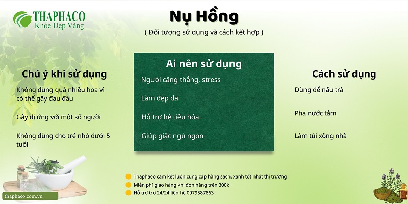 Nụ hồng tại HCM THAPHACO (Tấn Phát Group)