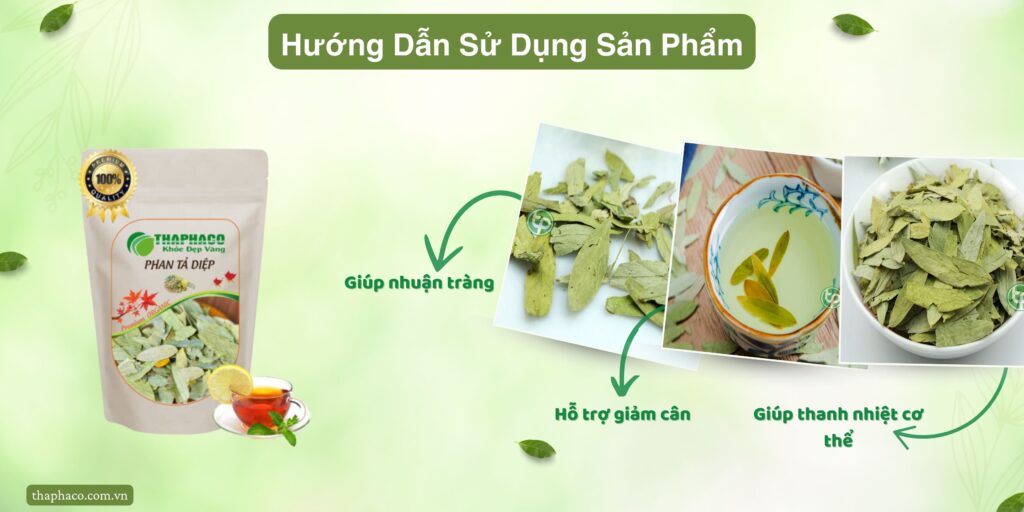 Hướng dẫn phan tả diệp tại TP.HCM