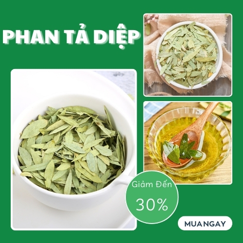 Sản phẩm phan tả diệp tại TP.HCM ở THAPHACO ( Tấn Phát Group )