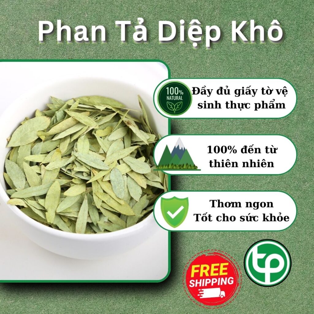 Mua phan tả diệp tại TP.HCM ở đâu uy tín ?