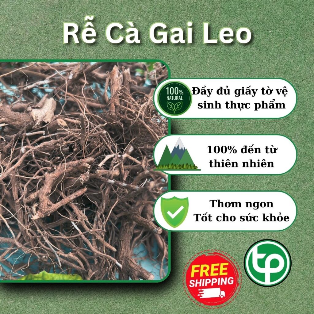 Mua cà gai leo tại TP.HCM ở đâu ?