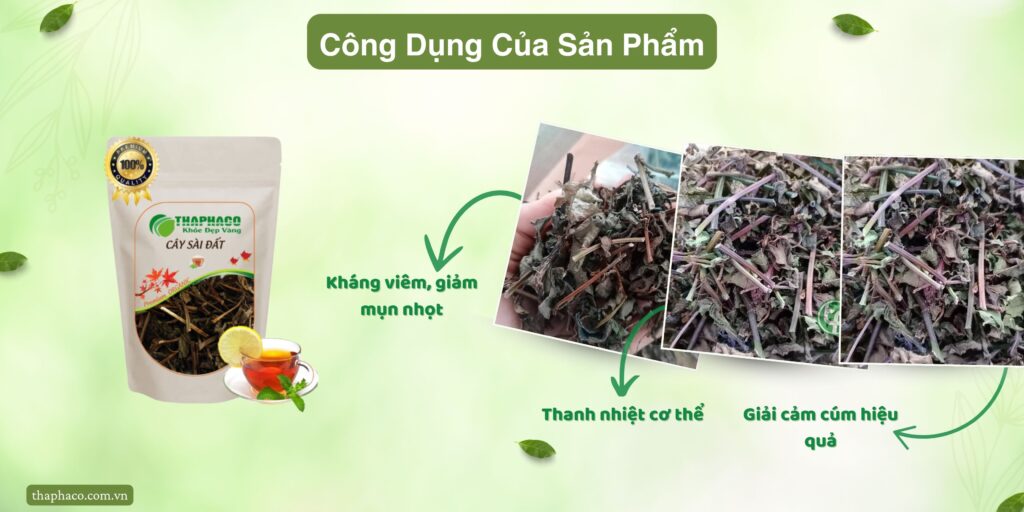 Công dụng của sài đất tại TP.HCM