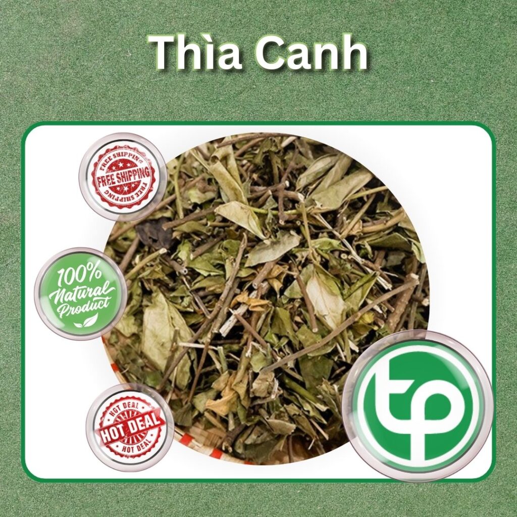 Mua dây thìa canh tại TP.HCM ở THAPHACO ( Tấn Phát Group )