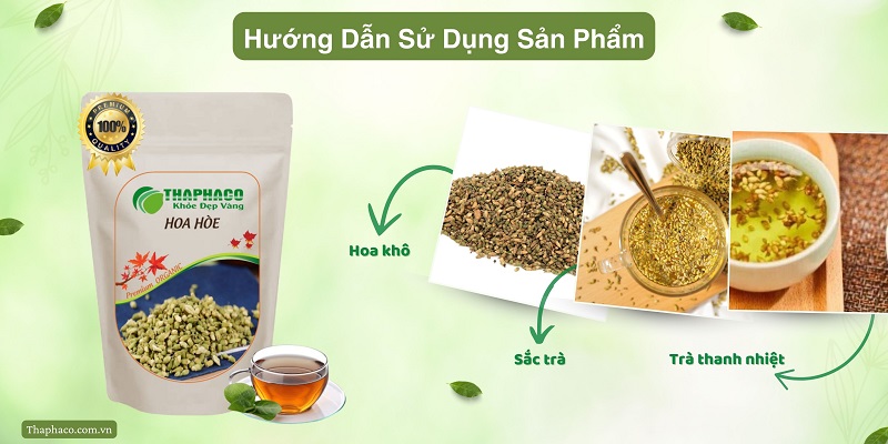 Hướng dẫn sử dụng hoa hòe sấy khô của THAPHACO (Tấn Phát Group)