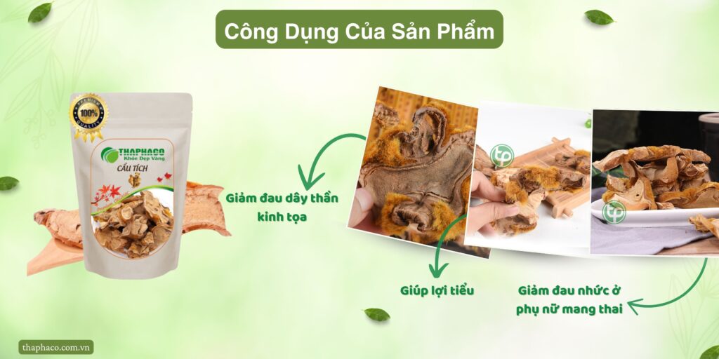 Công dụng của cẩu tích tại TP.HCM