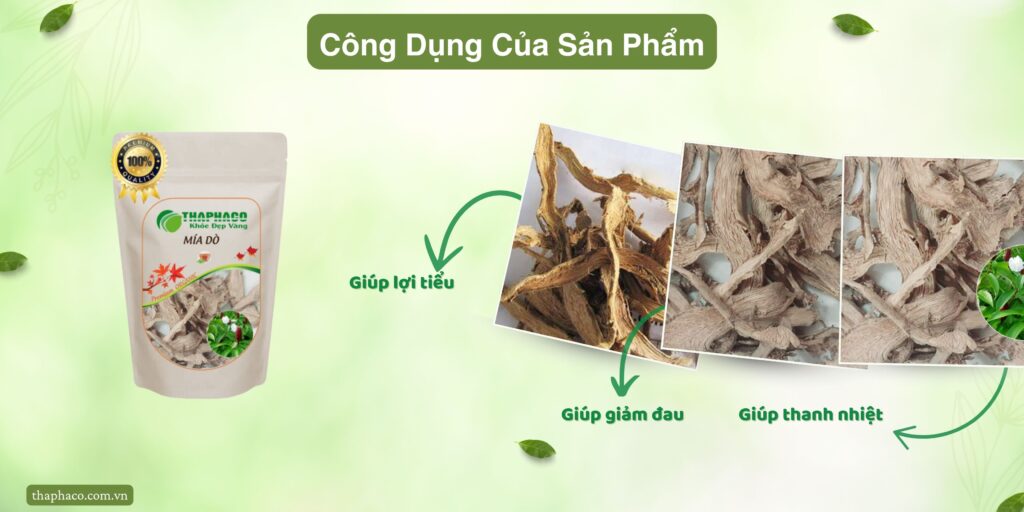 Công dụng của mía dò tại TP.HCM