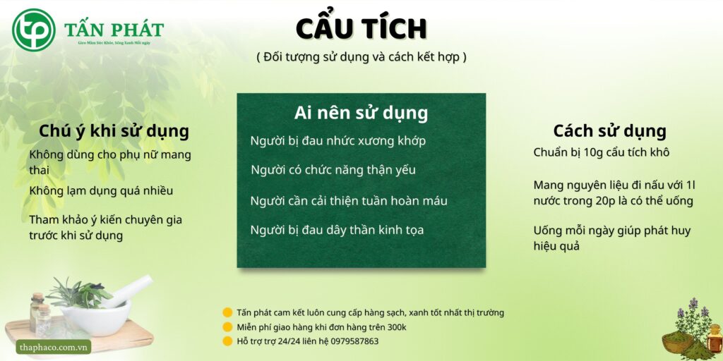 Cách sử dụng cẩu tích tại TP.HCM