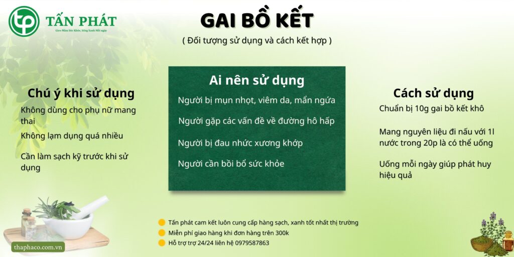 Cách sử dụng gai bồ kết