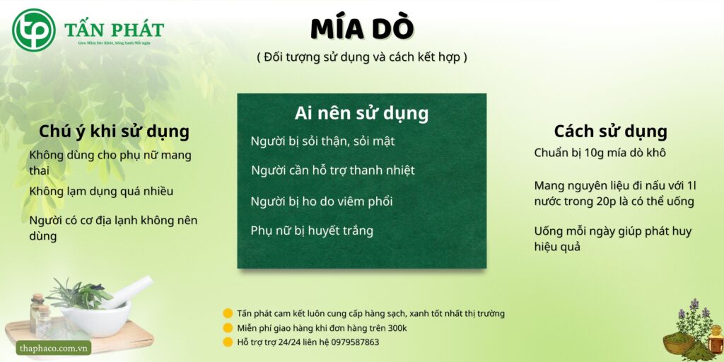 Cách sử dụng mía dò tại TP.HCM