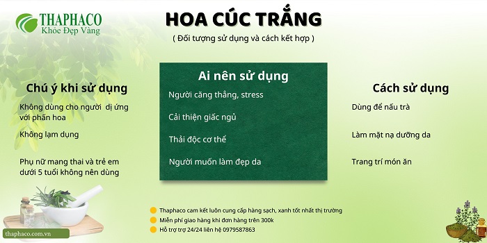 Những điều cần biết trước khi dùng hoa cúc trắng