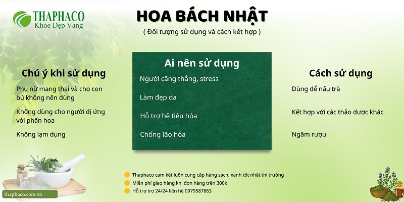 Lưu ý khi dùng hoa bách nhật tại HCM