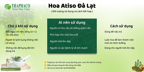 Những lưu ý cần biết khi dùng hoa atiso Đà Lạt tại HCM