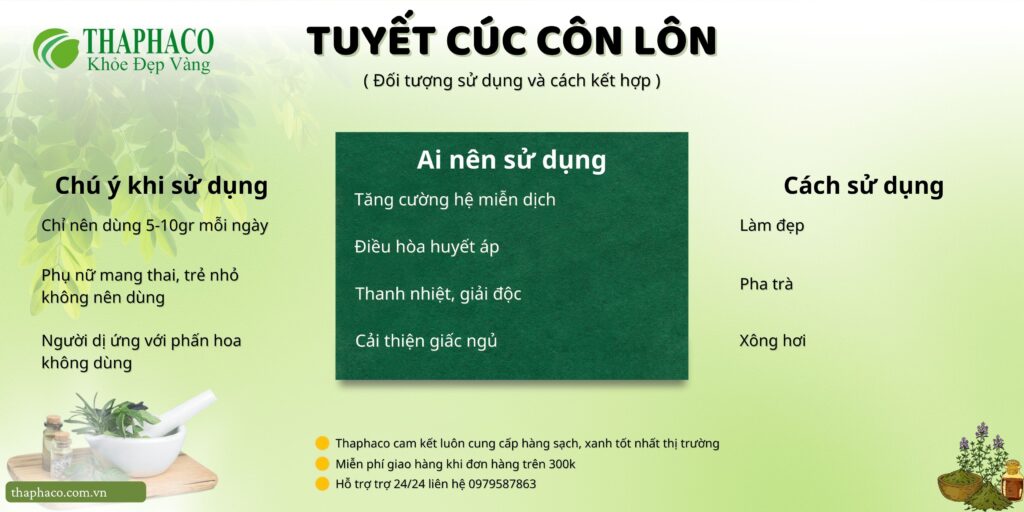 Lưu ý khi dùng tuyết cúc côn lôn tại HCM