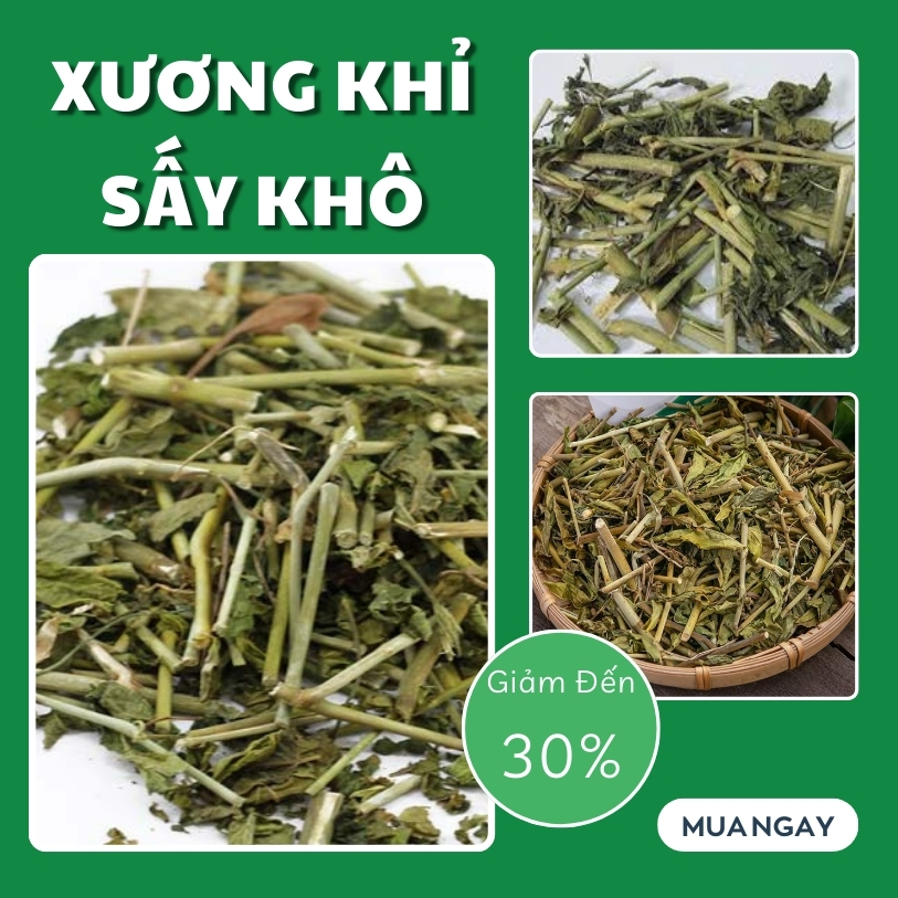 Xương khỉ tại HCM THAPHACO (Tấn Phát Group)