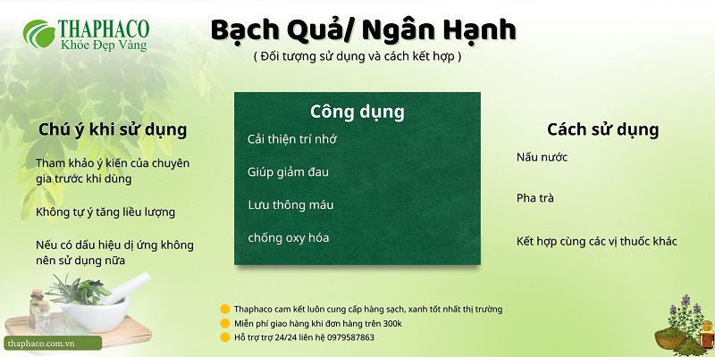 Bạch quả, ngân hạnh tại HCM 