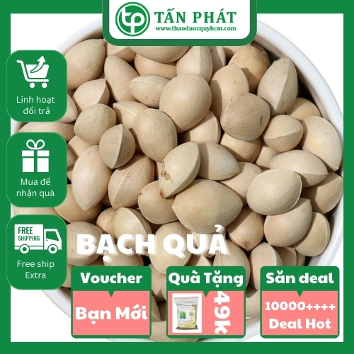 Bạch quả/ ngân hạnh tại HCM (Tấn Phát Group)