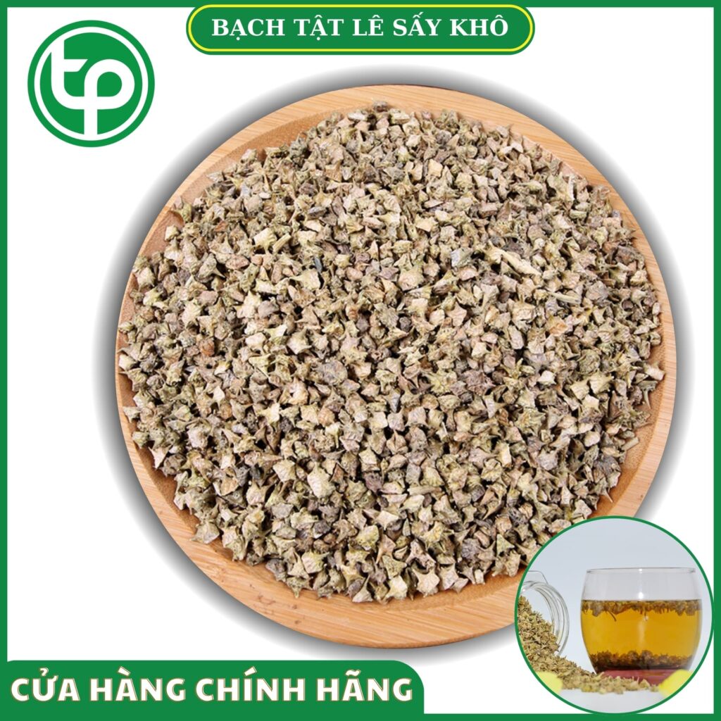 Bạch tật lê/ gai ma vương tại HCM THAPHACO (Tấn Phát Group)